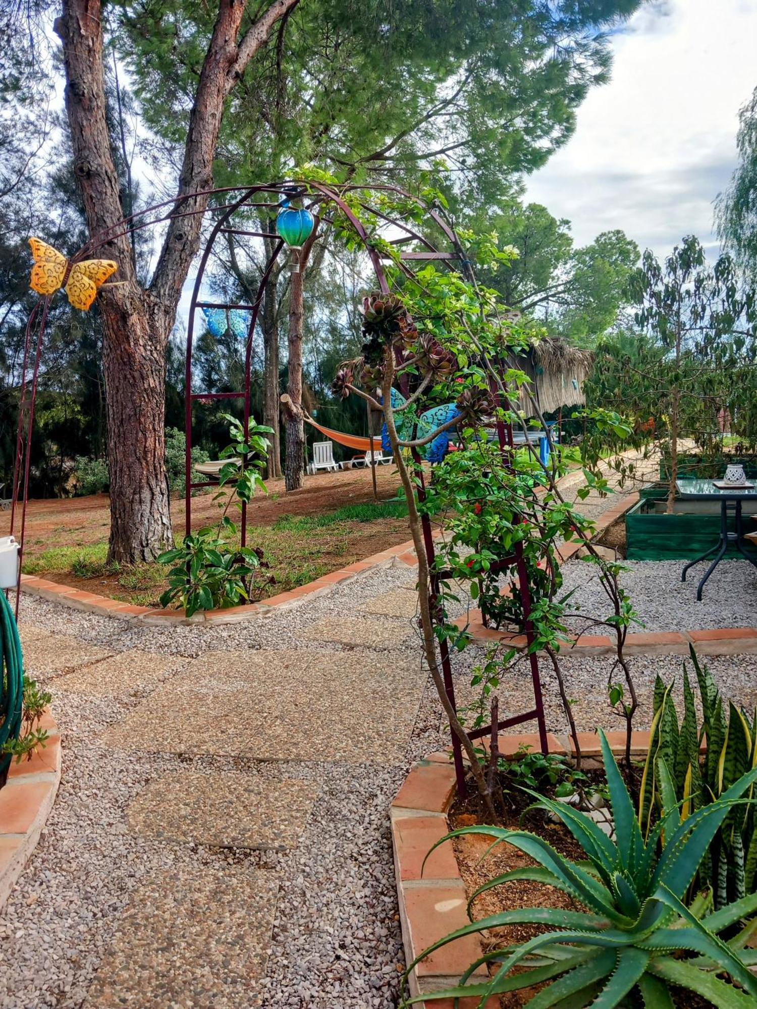 카르보에이루 Morphee Valdareina, Piscine Chauffee, Benagil-Carvoeiro 아파트 외부 사진